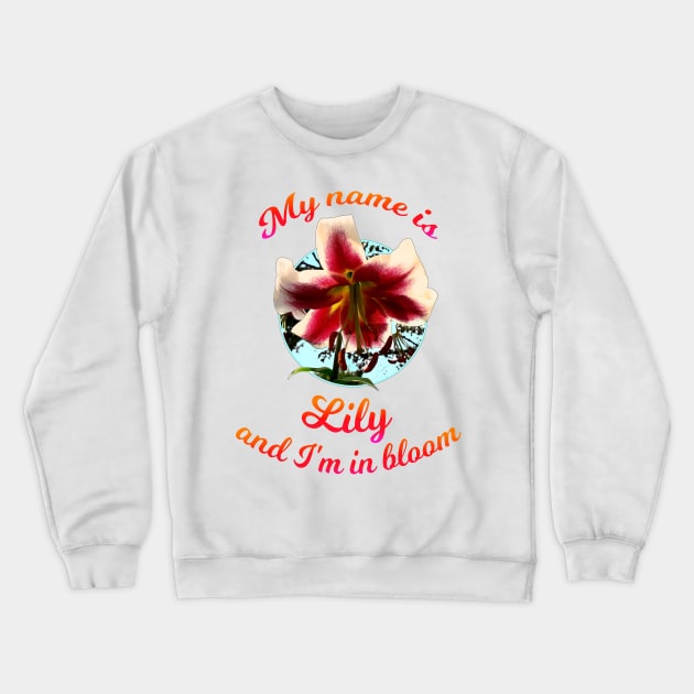 My name is Lily Crewneck Sweatshirt by SafSafStore